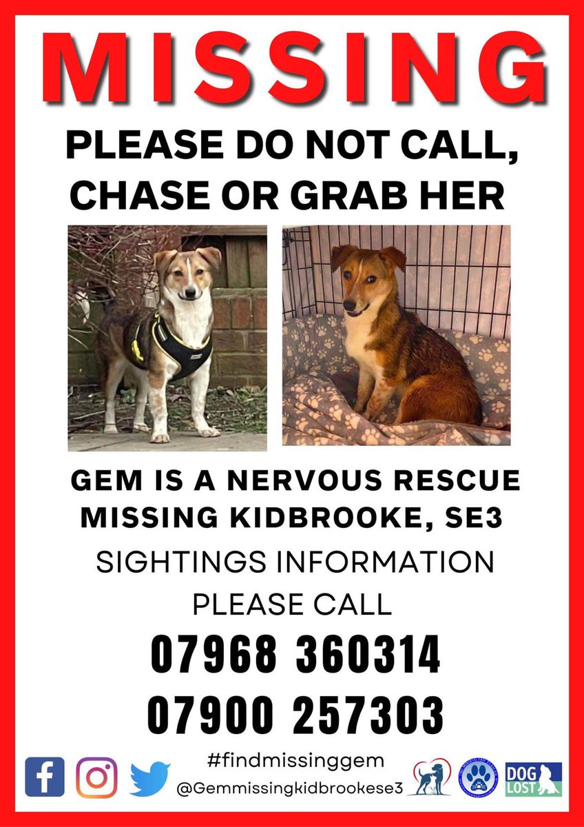 Missing sighted in Charlton SE7 & Lewisham SE13. Sightings needed! #findmissinggem