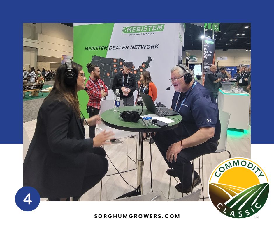 SorghumGrowers's tweet photo. Here's another @ComClassic  #Top10 moment! Tune in at https://t.co/MbWa0lSY1U to hear NSP Vice Chairwoman @amy_kaymay on @agritalk with @ChipFlory breaking down the challenges #sorghum producers face and where NSP is focusing their energies to help.
 #Classic23 https://t.co/vlBatEF8H0