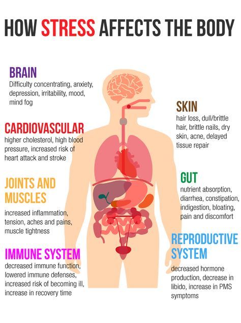 neuronpowers's tweet photo. How Stress affects the body https://t.co/qYJwKI6Cgq
