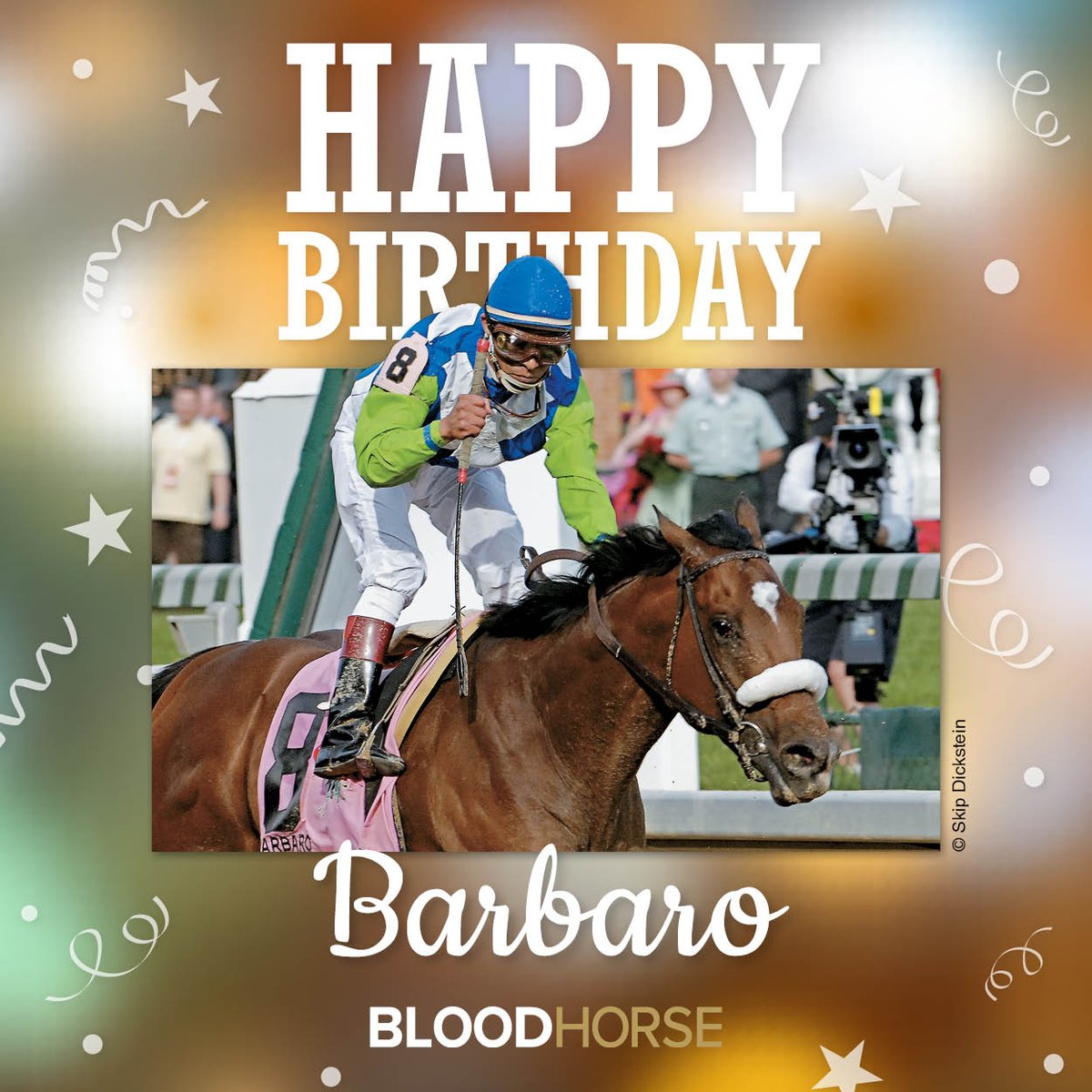 BloodHorse's tweet photo. Commemorating the birthday of 2006 Kentucky Derby Winner Barbaro, born April 29, 2003. https://t.co/BErJRBy1Up