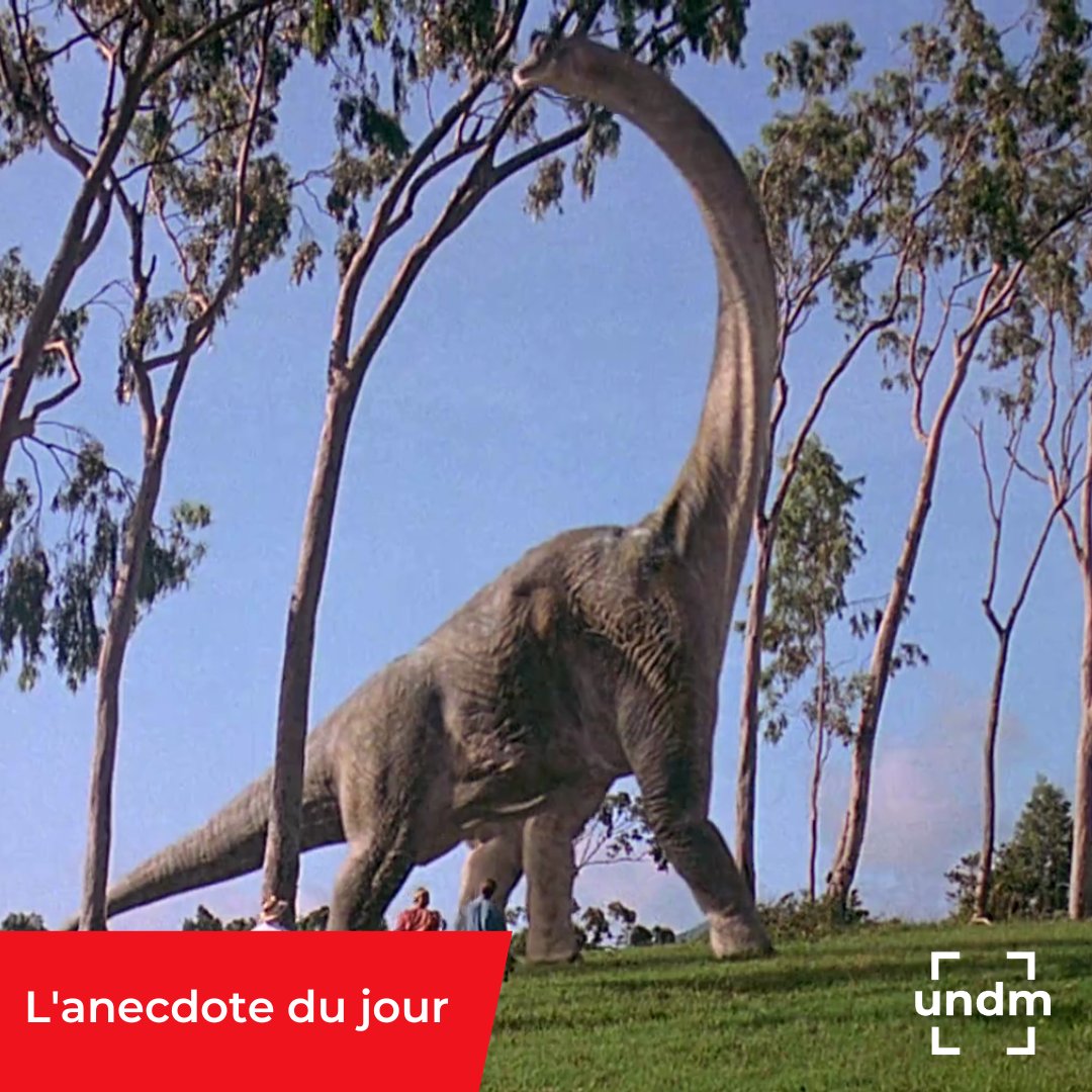 undm_asso's tweet photo. ANNECDOTE DU JOUR - Difficile d'imaginer quels sons faisaient les dinosaures, n'est-ce pas ?

Pour Jurassic Park, les bruits émis par les brachiosaures étaient une combinaison de sons émis par une baleine et un âne.

#JurassicPark #annecdote #film #cinema https://t.co/lwsBz2O99Z