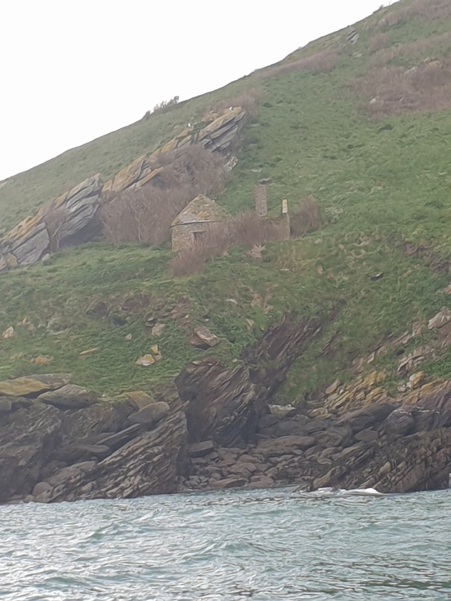 Cat Wilding tweet media