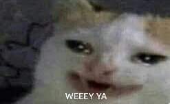 yo si no puedo dormir siesta