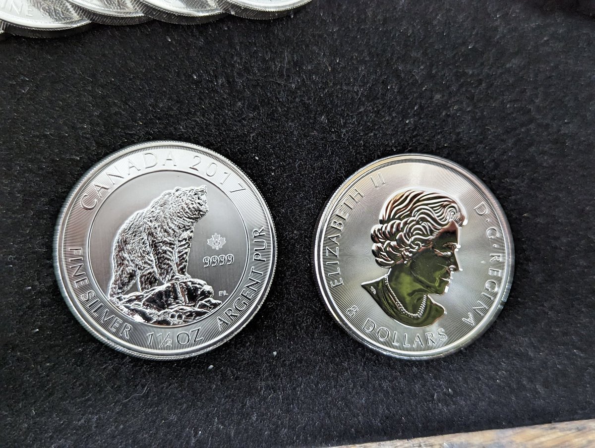 HeritageGold's tweet photo. We got a bunch of 1-1/2 Troy oz Canadian Silver Coins in stock! These might go quick!
.
#silver #silverstacking #silverstackingcommunity #silverbug #stackingsilver #silverstacker #howyoustackin #howyoustacking #canadiansilver #silveraddict #keepstacking #keepcalmstackon https://t.co/FMNnvdpOHQ