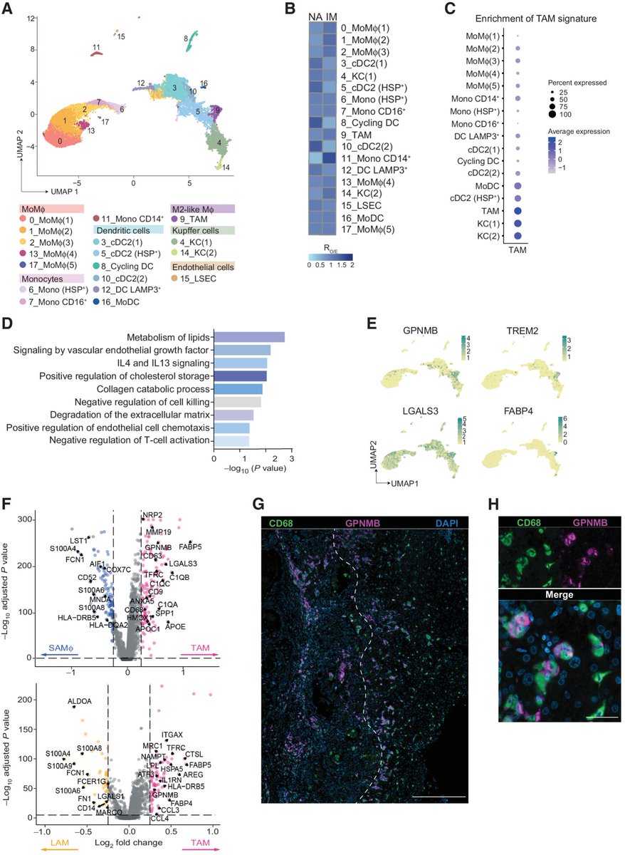 Cancer Immunology Research tweet media