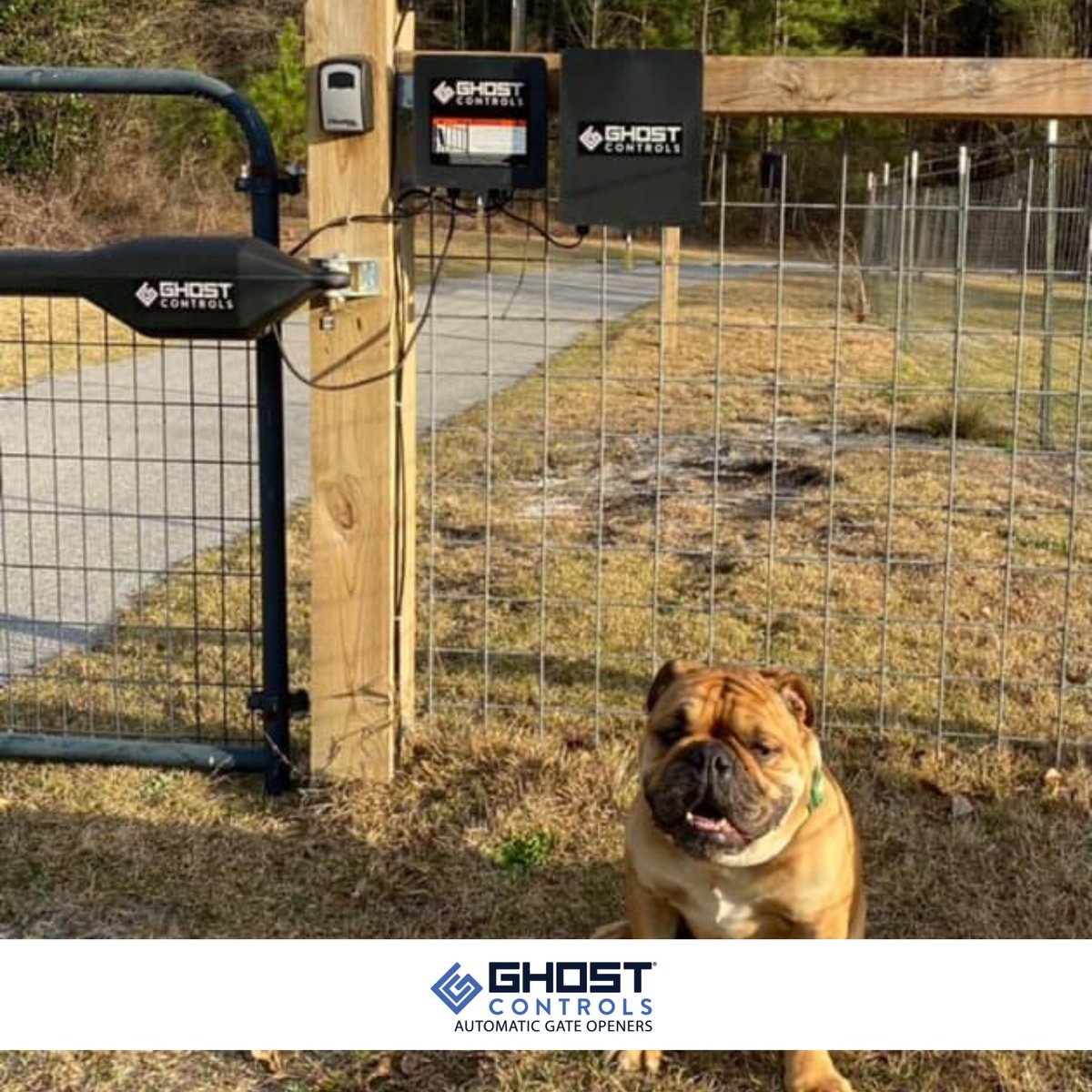 GhostControls's tweet image. This cute little pup is taking in the sun and his brand-new Ghost Controls Automatic Gate Opener😍

📸: Charles King
#gate #electricgates #swinggateoperators #swinggateopeners #swinggatemotors