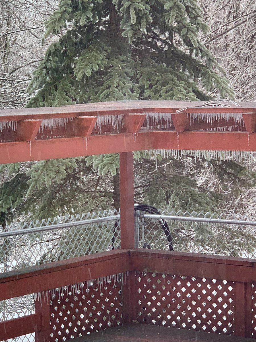lifeinaloghome's tweet photo. What a mess!
High winds, ice on trees, thunder, lost power once already and many branches down 
#ONStorm @weathernetwork #ShareYourWeather #StormHour #icestorm https://t.co/qN0ziXsfHI
