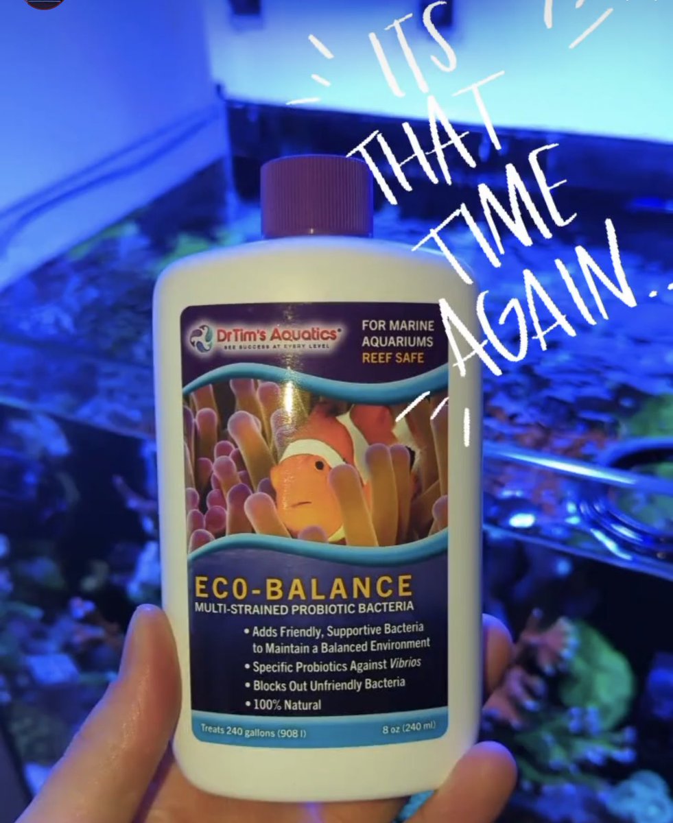 drtimsaquatics's tweet image. Which of our products is part of your regular routine?  Thanks to @joshosreef for sharing yours! 

#drtimsaquatics #ecobalance #aquarium
