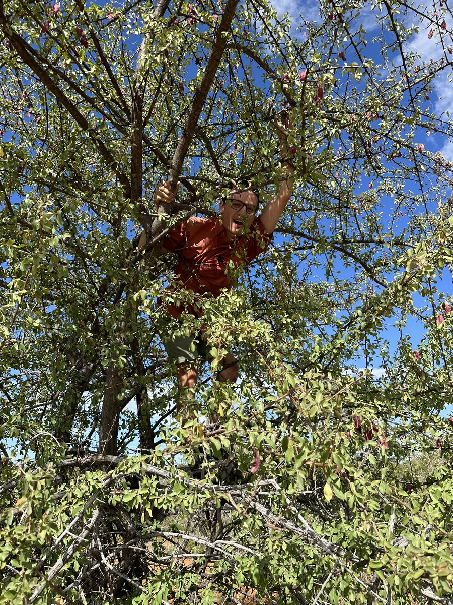 Steven Cassidy tweet media