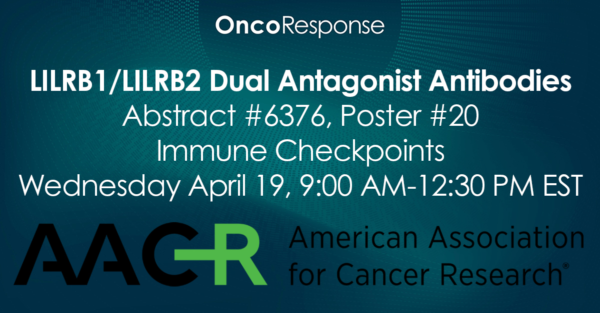 We are now two weeks away from presenting at #AACR2023! #OncoResponse's poster will publicly introduce for the first time our preclinical data of dual-targeting antibodies for LILRB1 and LILRB2. The poster presentation will take place April 19th. <a href="/AACR/">AACR</a> #EliteCancerResponders