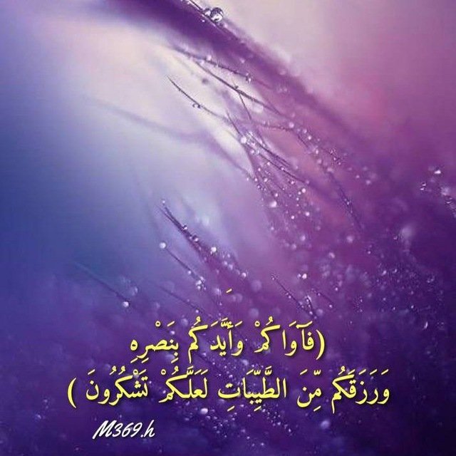 #انصفو_العلوميين_ياحكومه_الاطار