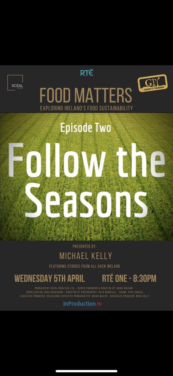 Regina Sexton tweet media