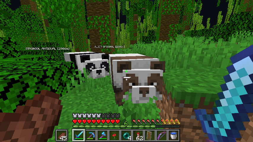 franxblaster's tweet photo. Mientras buscaba Cacao me tope un Panda marron spawneado naturalmente :o @BobicraftMC https://t.co/TNFqfz5l6x
