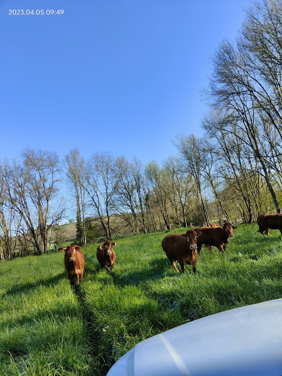 🐮Delphine Chamard🥚 tweet media