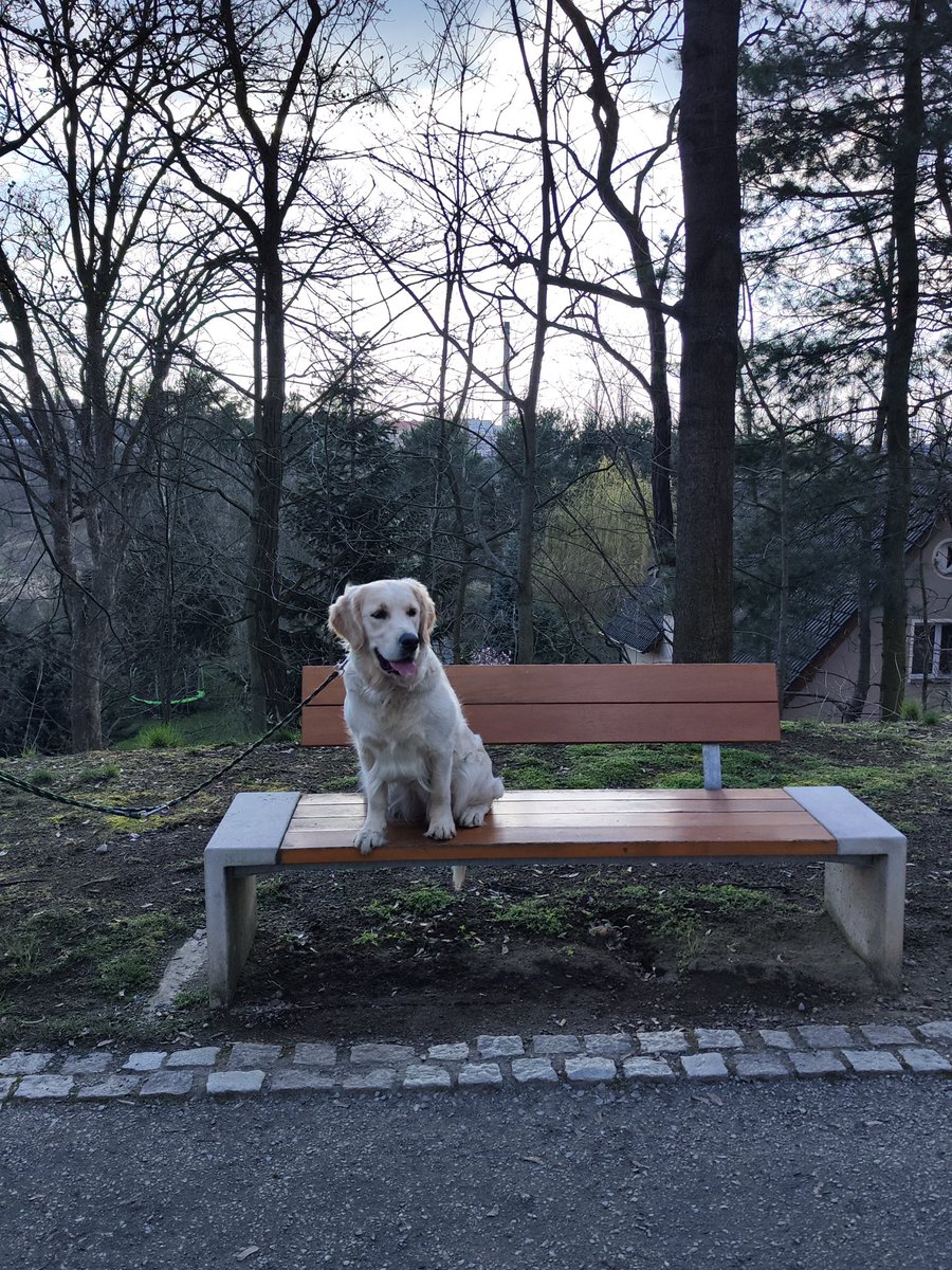 Daisy 🌼 (@thegolden_daisy) on Twitter photo 