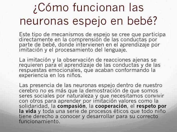 DraYidha's tweet photo. ¿Cómo funcionan las neuronas espejo en bebé?
👇🏻👇🏻👇🏻

#neuronasespejo #neuronas 
#SemanaMundialDelCerebro #BrainAwarenessWeek #SemanadelCerebro #DrVerver https://t.co/XDQYR9jsZ7