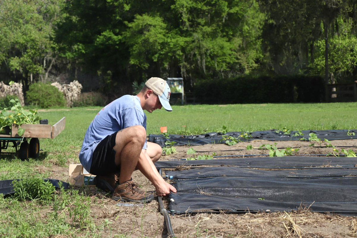 UF Field & Fork tweet media