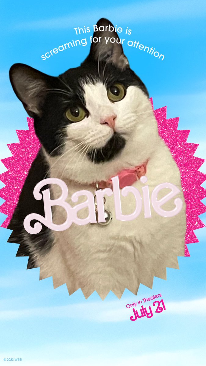princess_sticky's tweet photo. im a barbee grl 
in a barbee wrllllddd 
💕🎀👙🦩👛 https://t.co/12nKTRb2sc
