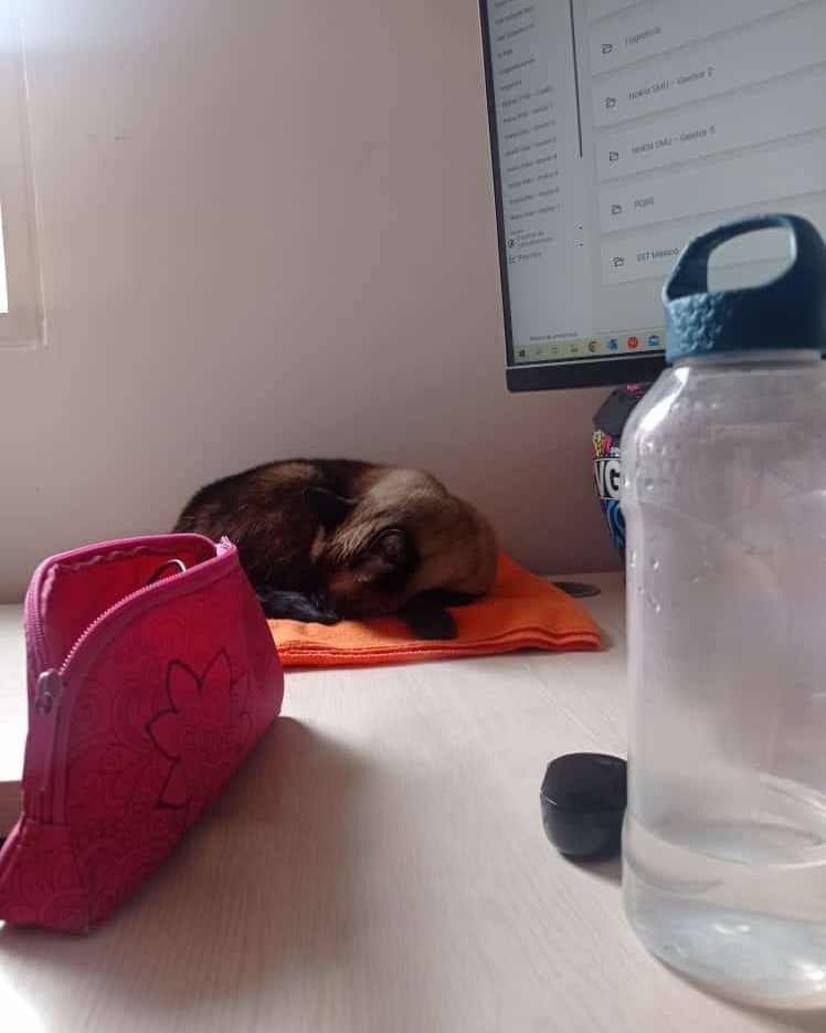 muraby_io's tweet photo. @KarenBravo nos comparte cómo es su día a día, con muraby. 📲🐱💻

Gracias INDEPLO por confiar en nuestra tecnología para tus actividades tan retadoras en HSE en campo.

Contáctanos si quieres trabajar remoto, con toda la información que requieres en tiempo real. https://t.co/tyKd6MuRdz