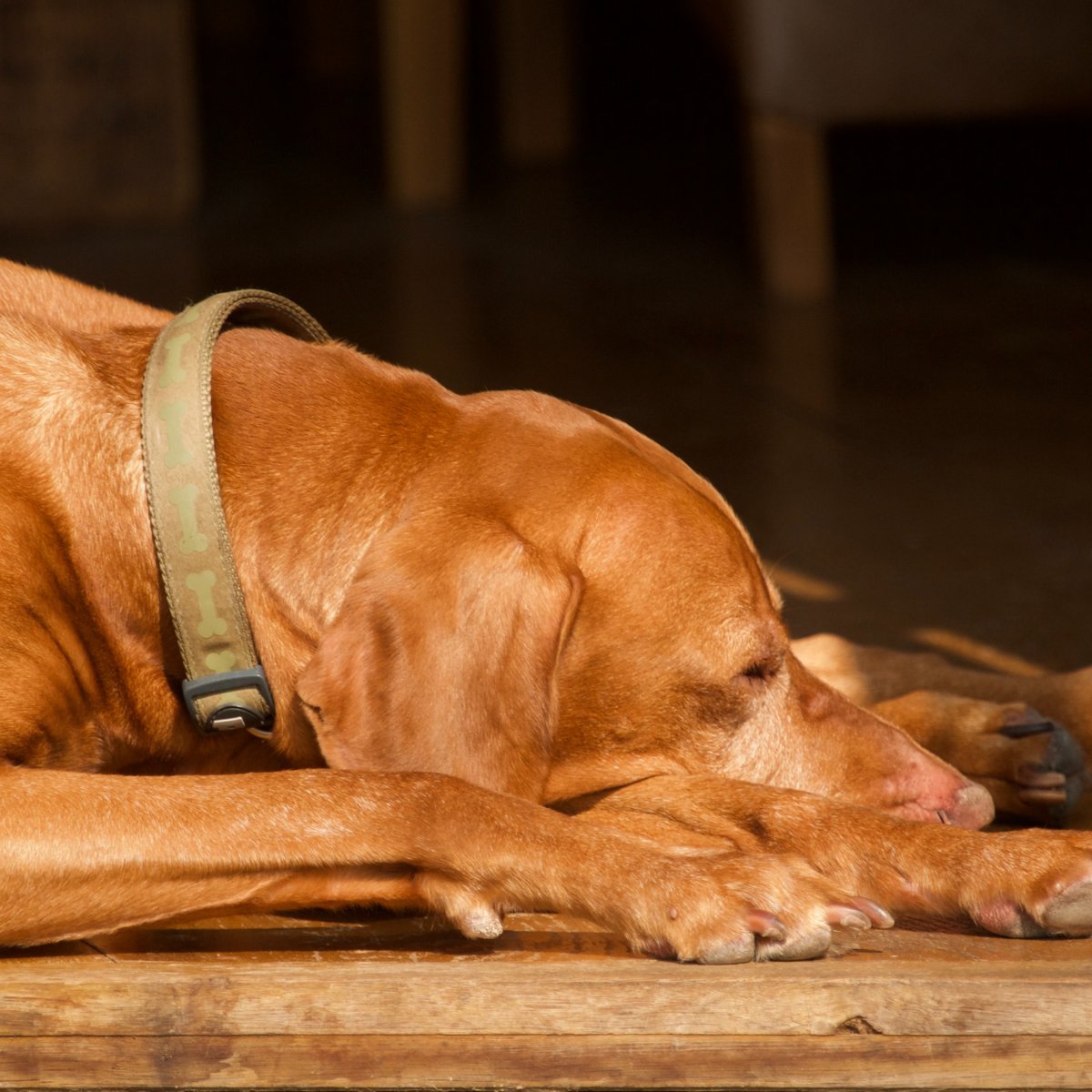 Rapt Interviews tweet media