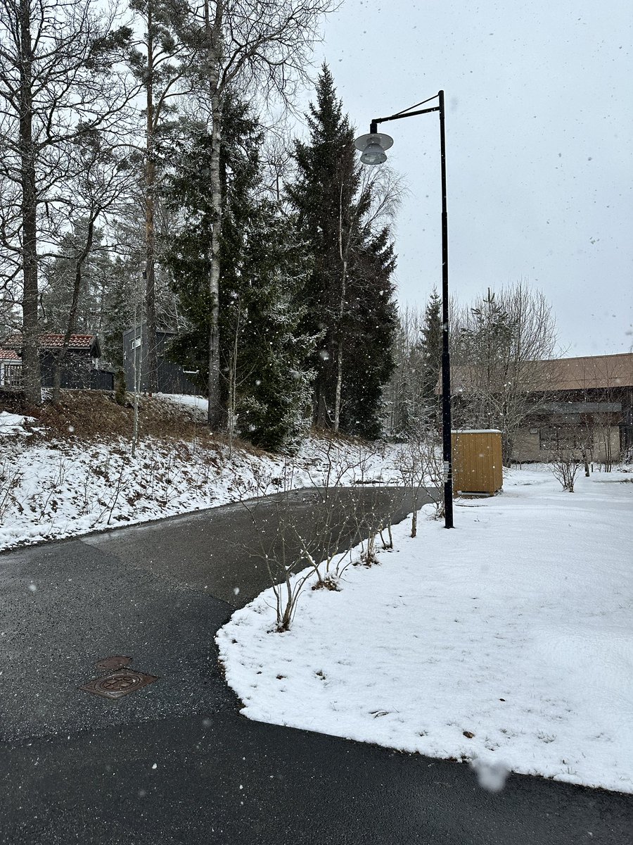 Emma Bostian tweet media