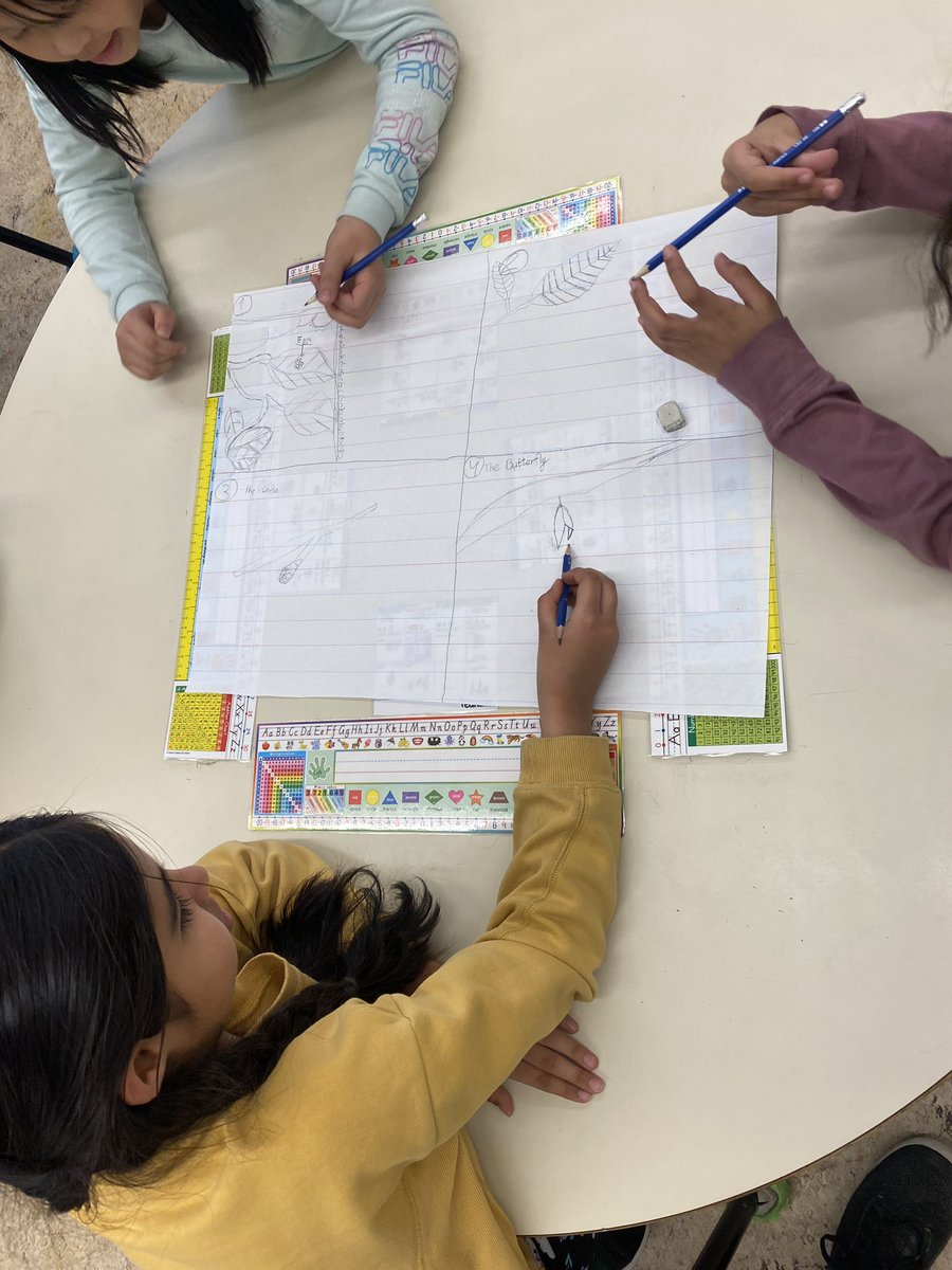 McFarlanesClass's tweet photo. This week our Grade 3s started to look at the life cycle of a Monarch Butterfly. https://t.co/siUaQUf8AR
