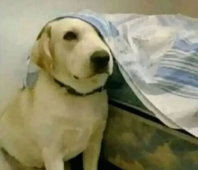 Yo escondiendo mis celos