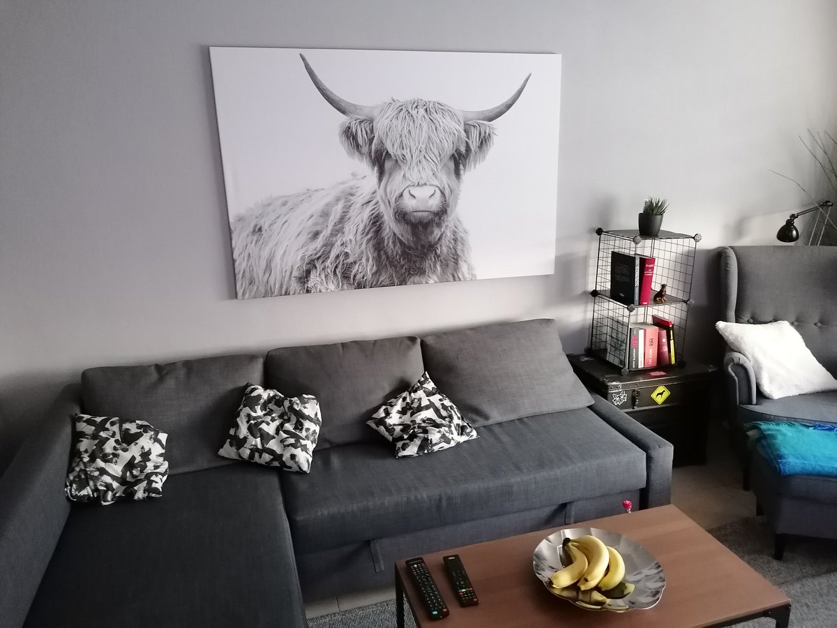 Rocky the Rottie tweet media