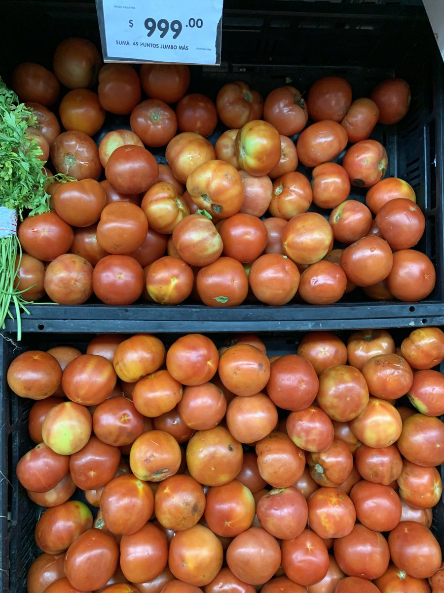 Fernando Genesir tweet media