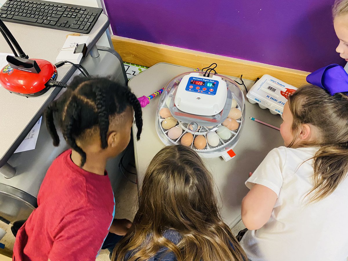 It’s a special day in first grade <a href="/ActonElementary/">Acton Elementary</a> . Eggs were put in our brand new incubators. We got these cool incubators through a grant from the Granbury Education Foundation. Egg-citing days ahead! #aesmakeyourmark