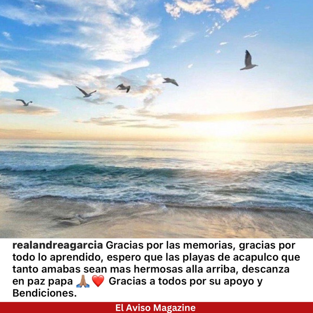 #AndreaGarcia se despide de don #AndresGarcia a través de las redes sociales. 

“ Espero que las playas de Acapulco que tanto amabas sean más hermosas allá arriba, descansa en paz papá 🙏🏽❤️” 
.

#ElAvisoFarandula #ElAvisoNoticias #HijosDeFamosos #AndresGarciaJr #LeonardoGarcia
