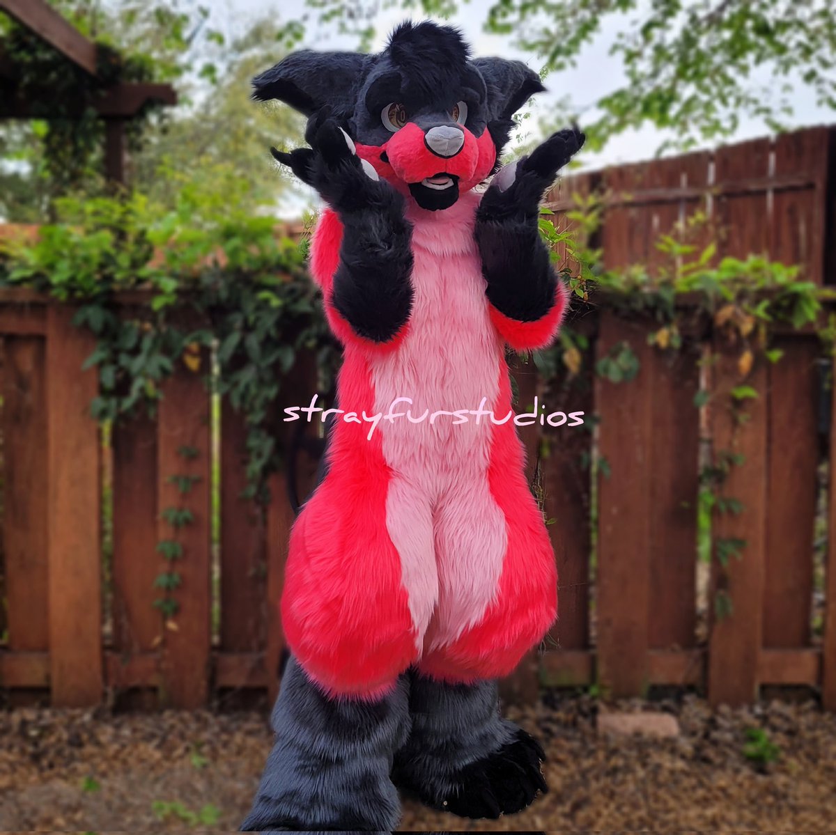 First fursuit complete! See you all at Weebcon! #fursuit #furry #furrycommunity #furryfandom