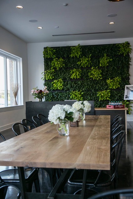 Suite Plants tweet media