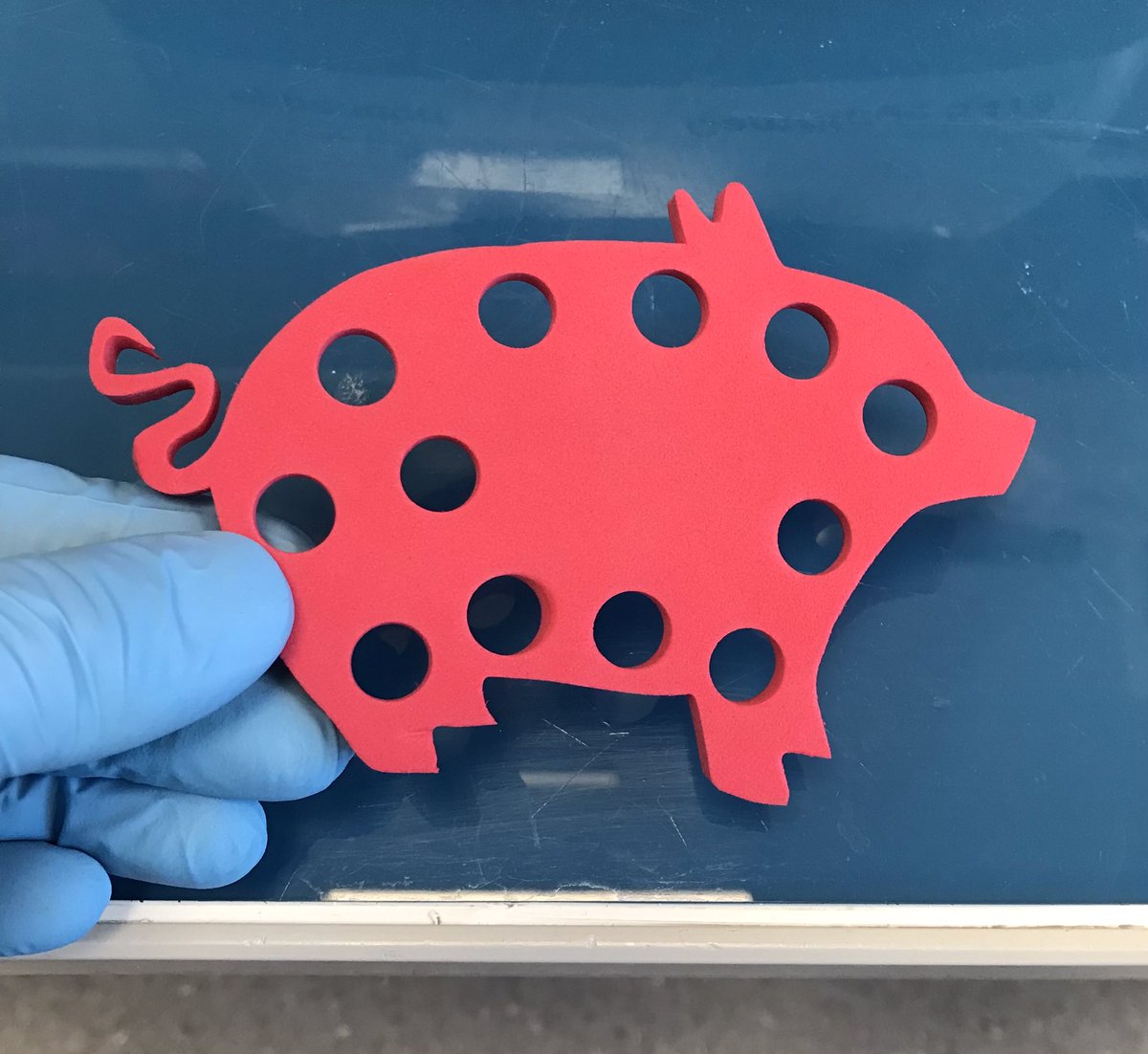 CunrathOlivier's tweet image. We don’t need much to be happy 🐷