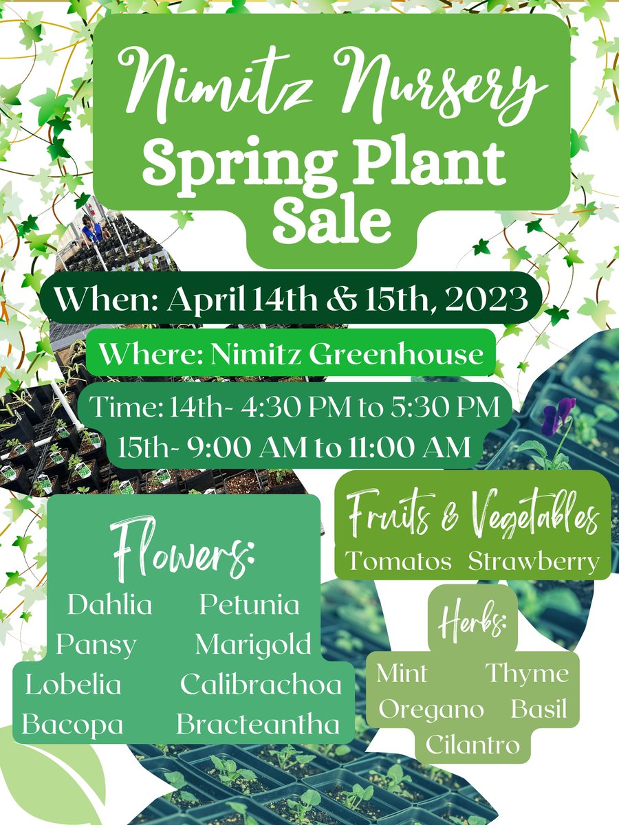 🌺🪴 Don't miss out on the Spring Plant Sale happening at Nimitz HS! Spruce up your space with some beautiful blooms or add some greenery to your life. 🌿#PlantSale #GreenThumb #ALLN #NimitzNation
