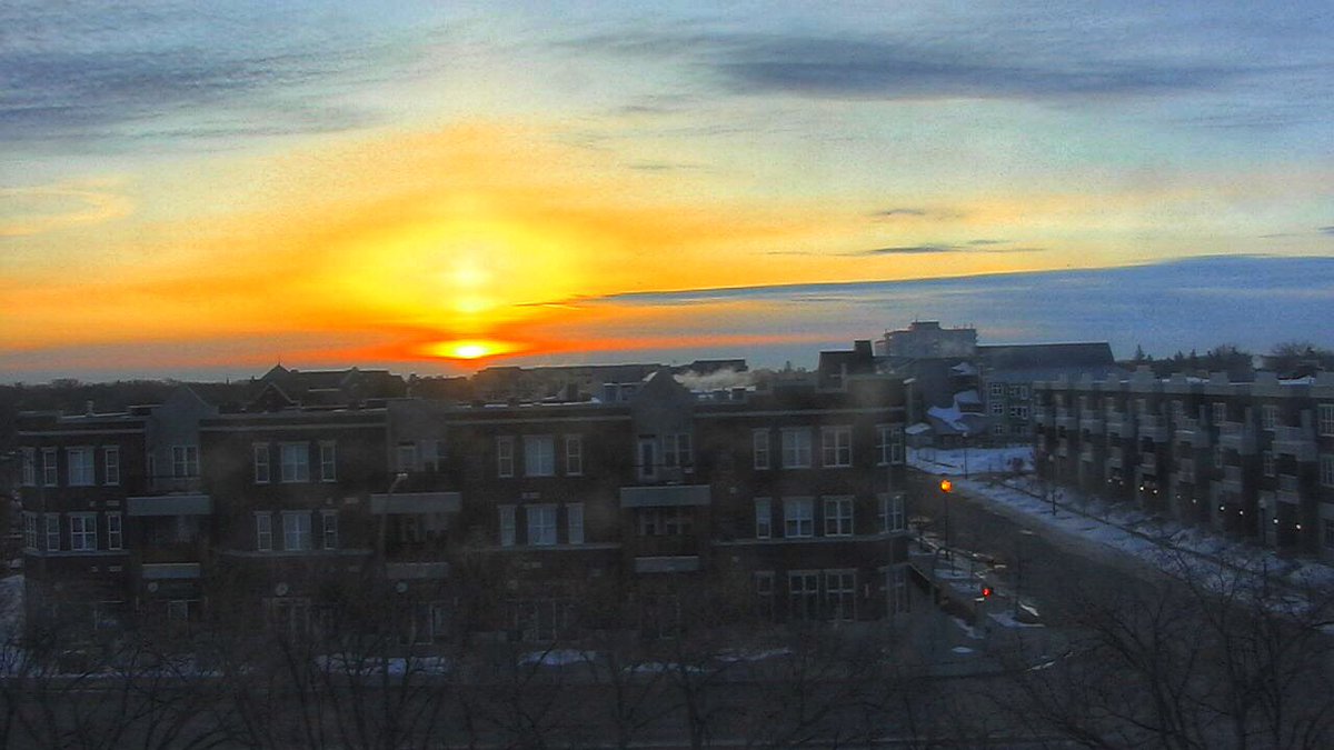 Chris Arden Haynes tweet media