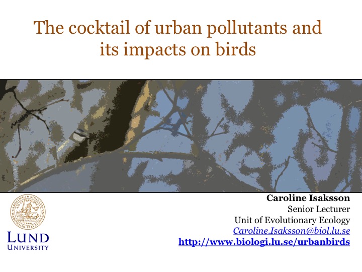 Caroline Isaksson tweet media