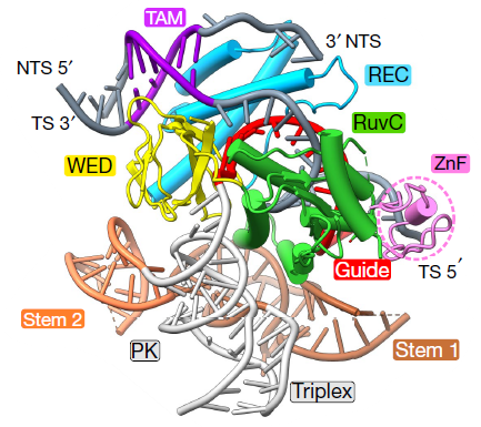 Tautvydas tweet media