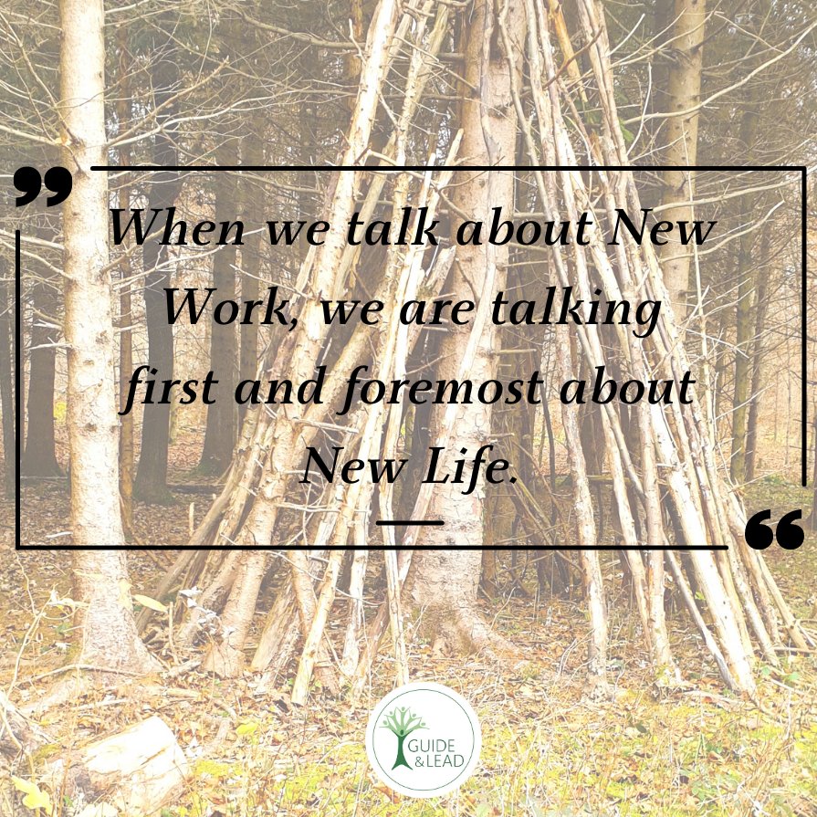 Guide_and_Lead's tweet image. There are buzzwords aplenty, jargon is proliferating and concepts are becoming fads, increasingly meaningless.
Why? Because they have never addressed that the people in the organisation need to transform as well.
guideandlead.com/isnt-it-just-n…
#newwork #organization #transformation