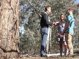 If you're looking for a male role model, you could do a lot worse than David Pocock

Rugby player, politician, protector of rhinos

Pocock has stood up for what he believes in throughout his career

His 1st Man of the Match bonus at 18, he spent on sleeping bags for the homeless