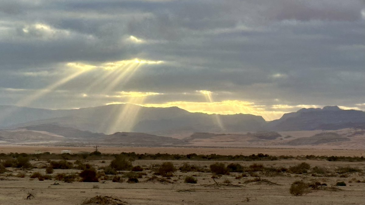 JeffBouton's tweet photo. Israel’s Negev Desert after the Champions of the Flyway bird race for conservation. Visit @flywaychampions to learn why we were there and to support conservation of critically endangered Red-breasted Geese! Donate at https://t.co/lrltWV96UI #givegeeseachance #cotf23 https://t.co/pdIIVMAjRb