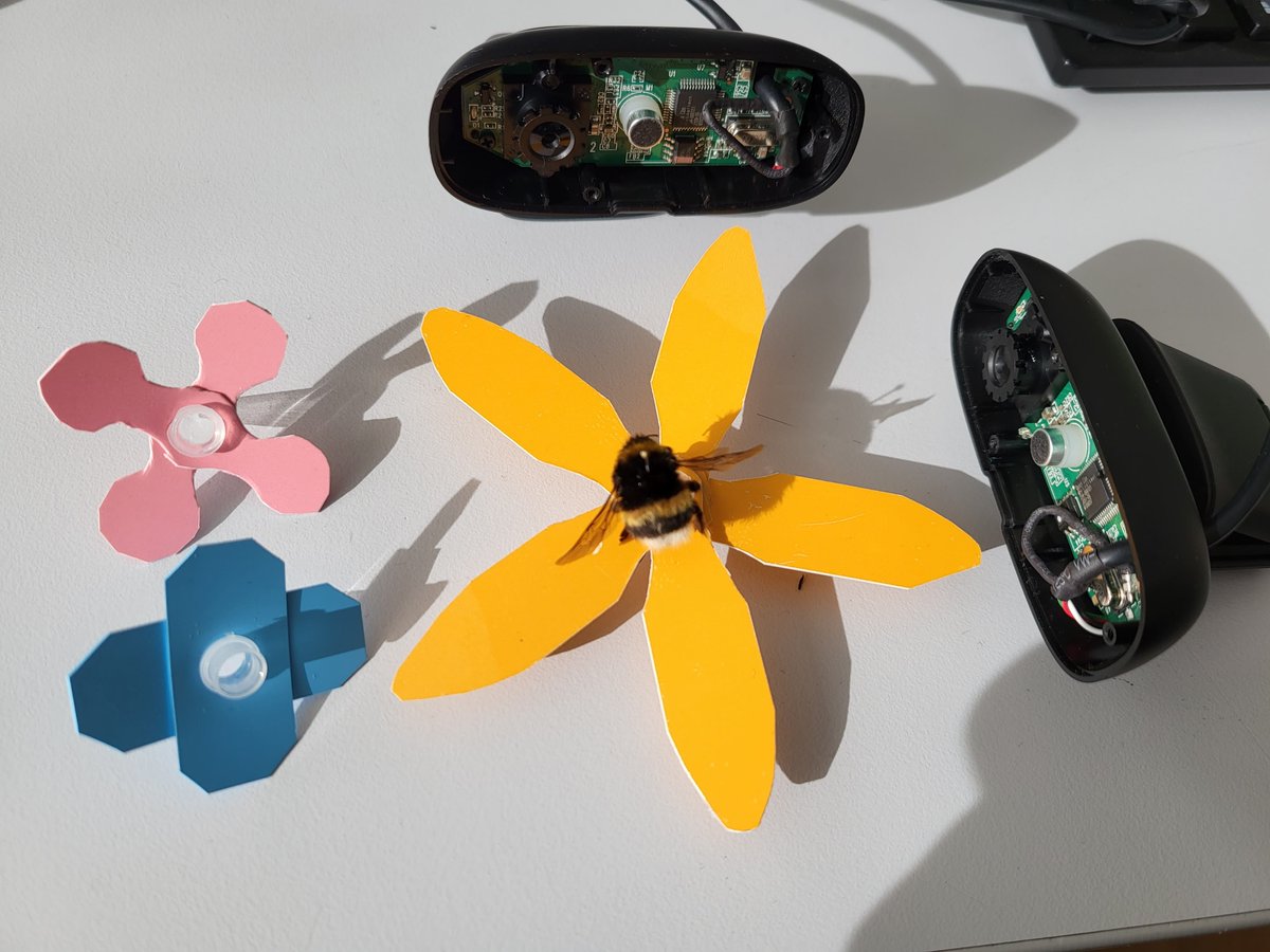 #Projet EISE 4 : réseau de caméras pour identifier les insectes #pollinisateurs ⬇️
polytech.sorbonne-universite.fr/actualites/e-n…