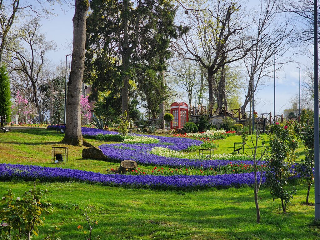 Her çiçek güzeldir ama bunlar biraz abartmış olabilir 💜 
#muscari #üzümsümbülü #botanica #botanical #botanicalart