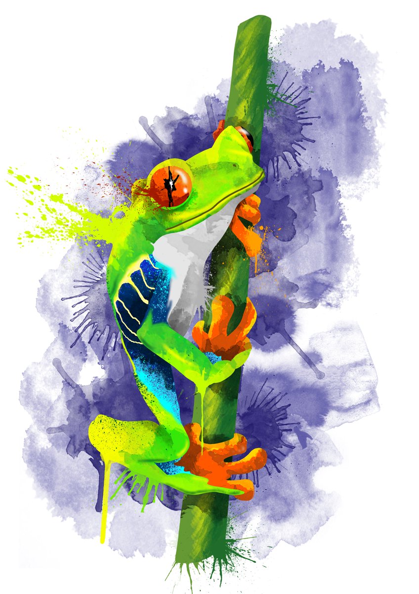 New piece in my Nature Series the amazing Agalychnis callidryas just finished. 🐸🐸

#anime #watercolour #illustration #animeart #animelover #animefan #watercolor #nature #treefrog #frog #comiccon #marine #tree #pond #agalychniscallidryas #digitalart #painting