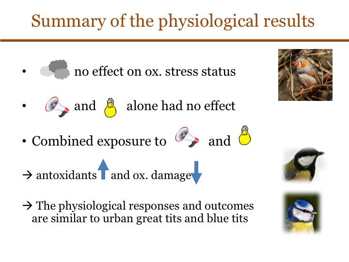 Caroline Isaksson tweet media