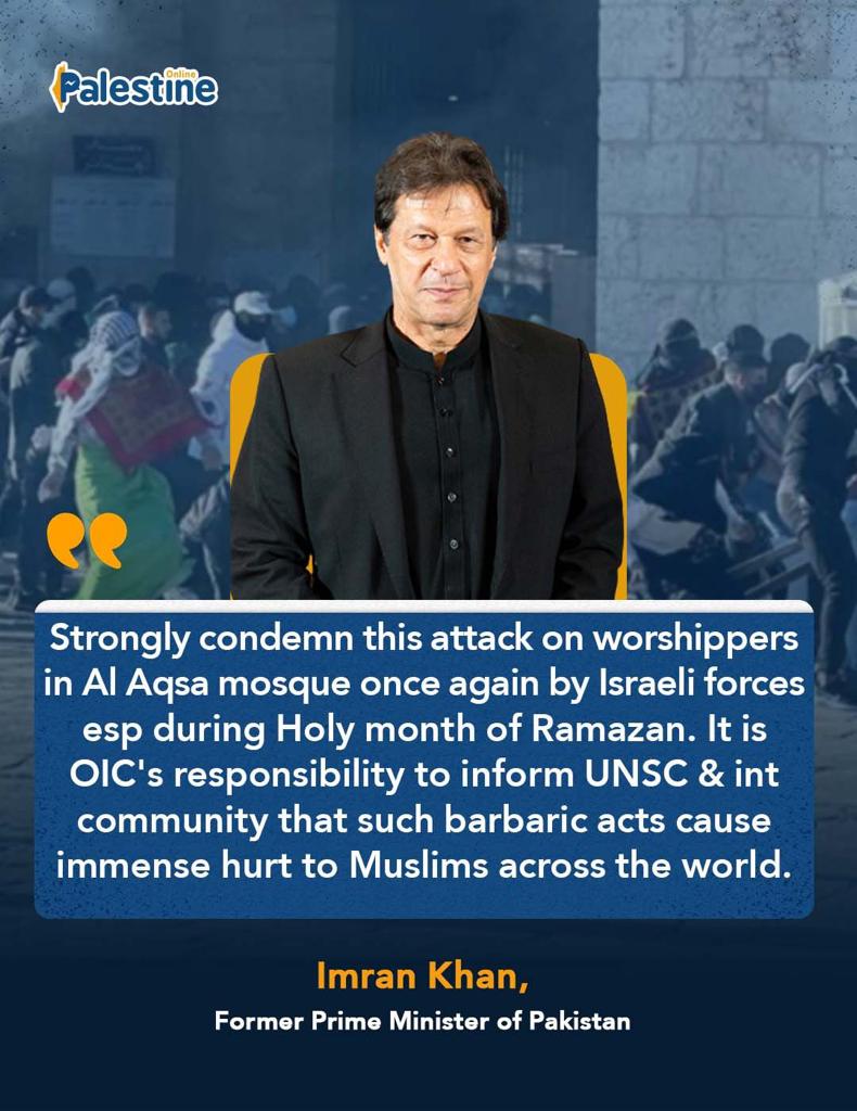 PALESTINE ONLINE 🇵🇸 tweet media