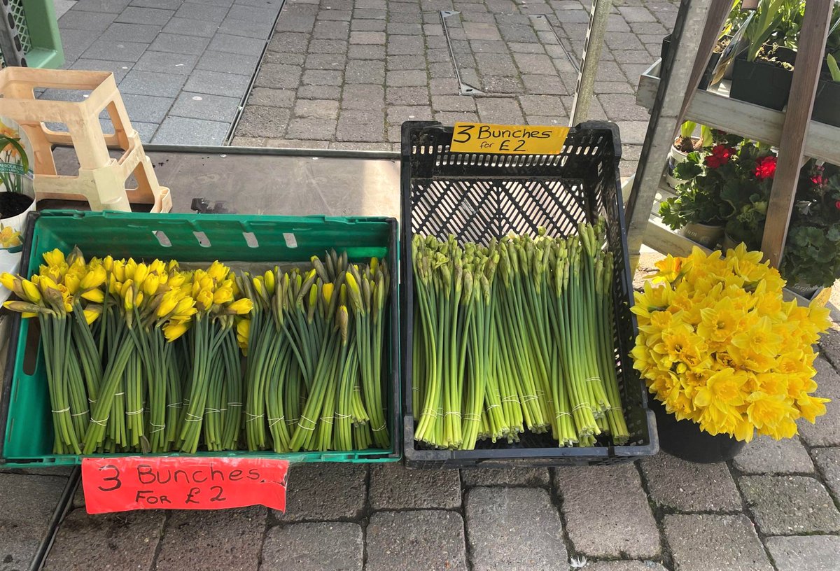 gymarketplace's tweet photo. Jacks Flowers will be open today (Good Friday) if you need to grab some last minute Easter floral arrangements. 💐🌷 #TheMarketPlaceToBe #GreatYarmouthMarketPlace #GYMarket #GYMarketPlace #LocalFlowers #LocalFlorists #JacksFlowers #MarketTrader https://t.co/v6GZsm2Qsv