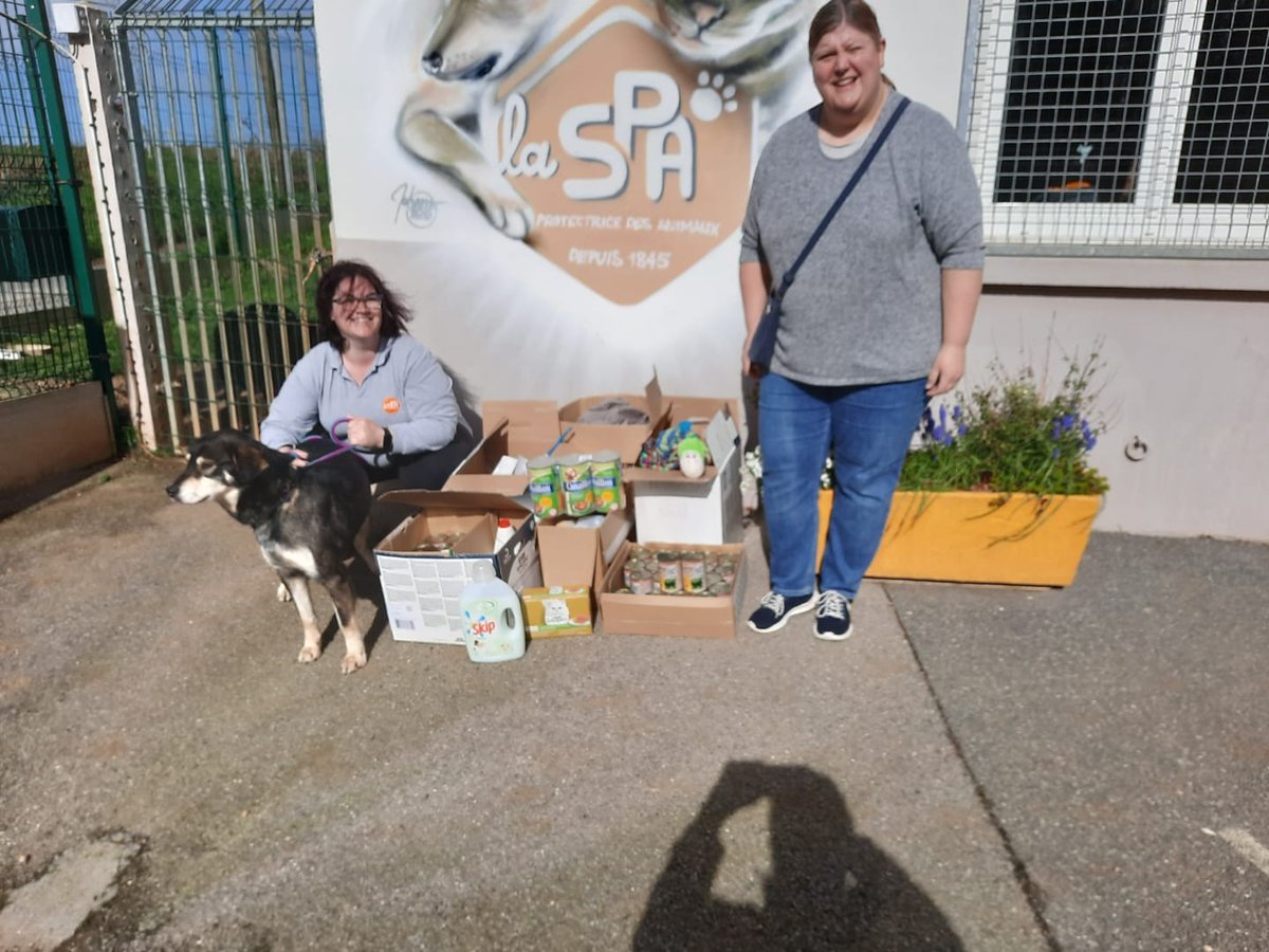 Un grand bravo à nos élèves qui ont organisé une collecte pour les animaux et un grand merci aux professeurs . Les dons ont été répartis entre deux associations #SPA 
#AssistOchats #parcourscitoyen <a href="/SPA_Officiel/">La SPA France</a> <a href="/ac_normandie/">Académie de Normandie</a> <a href="/dsden76/">DSDEN76</a>
