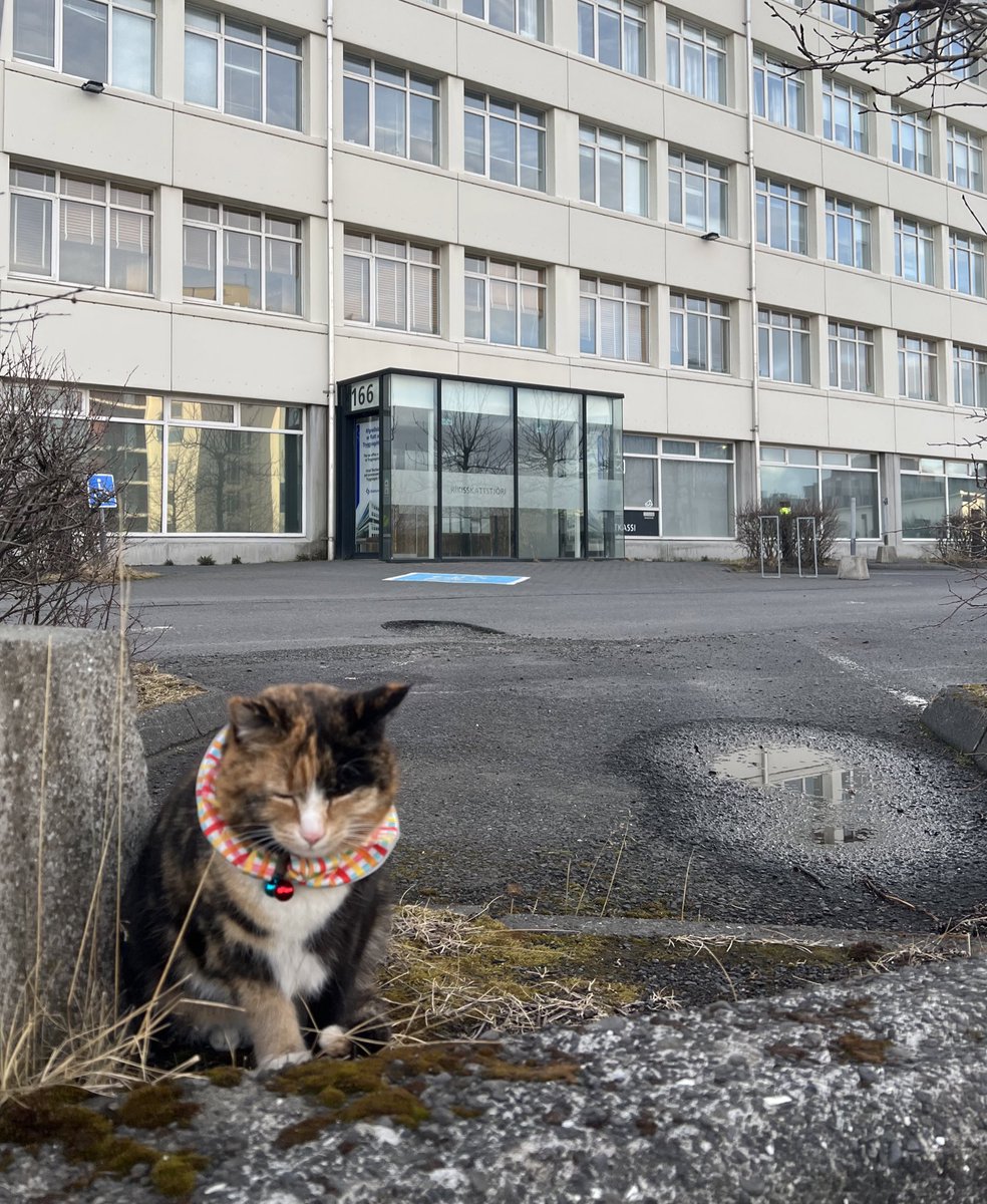 Þetta er hann. Þetta er ríkiskattstjóri.