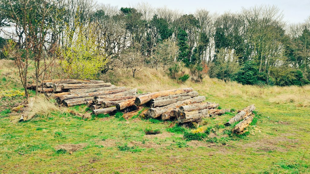 Splatty's tweet image. Can&apos;t #logon at home, but can here #escapism